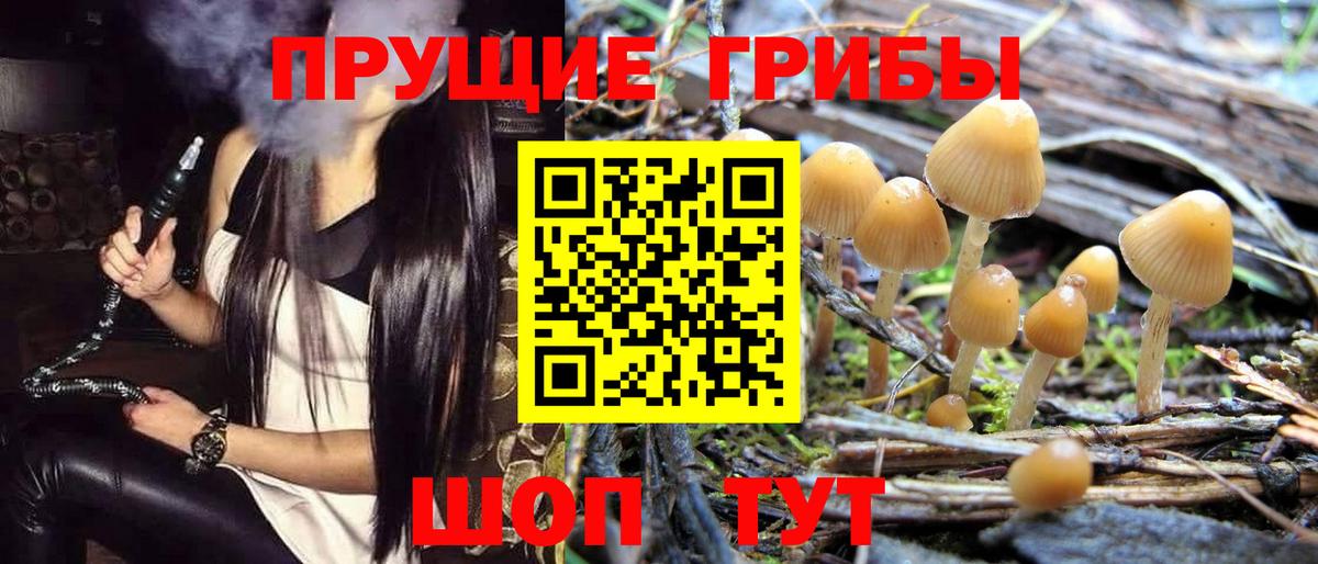 Павлово  Галлюциногенные грибы мицелий  Вход с VPN 